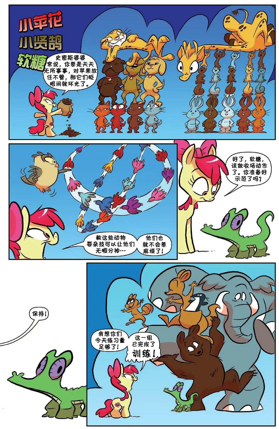 第 17 页