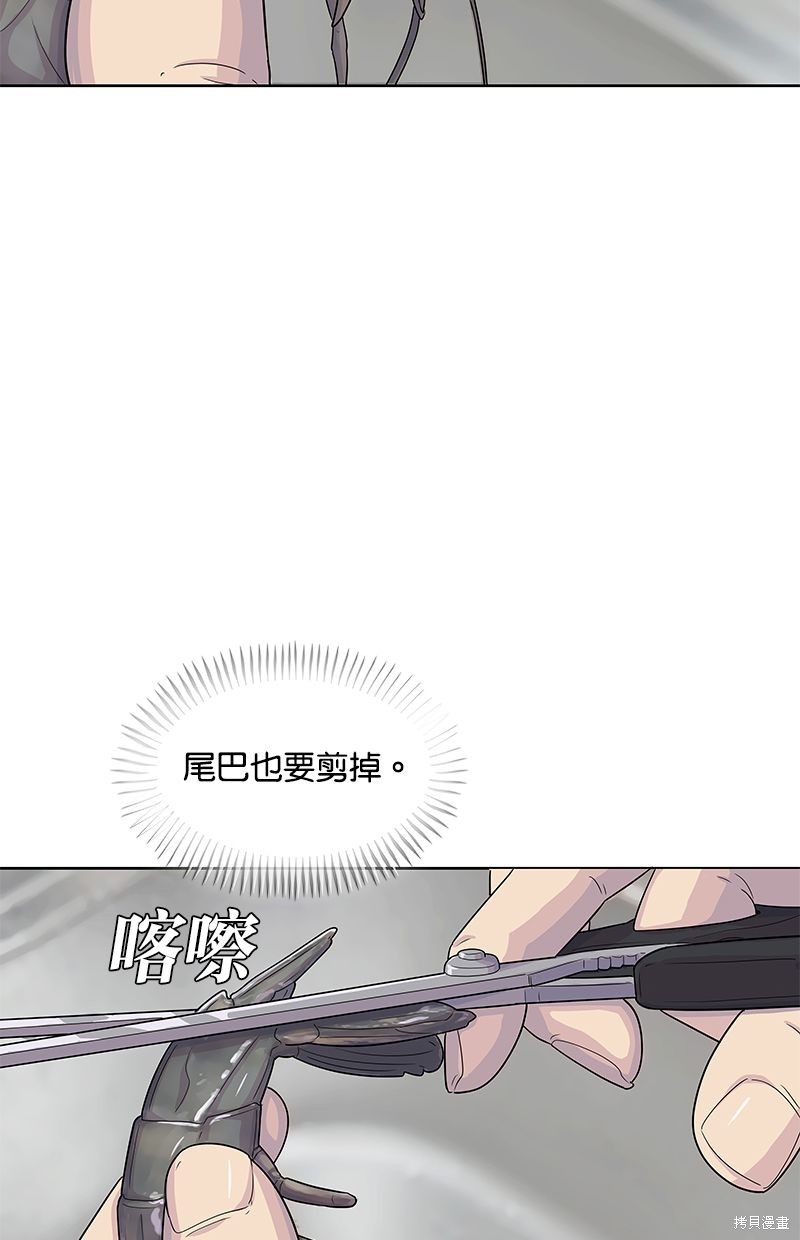 第 62 页