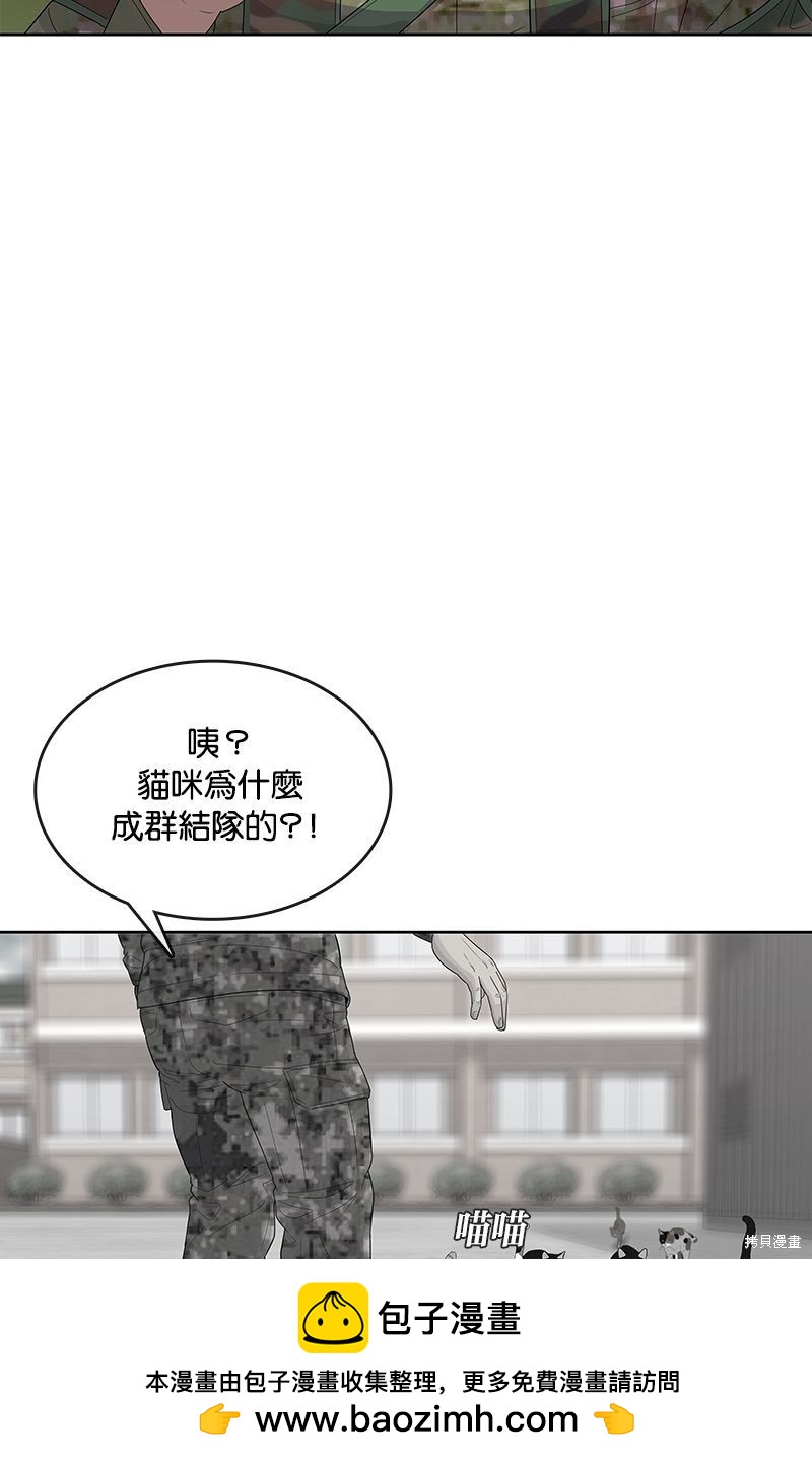 第 50 页
