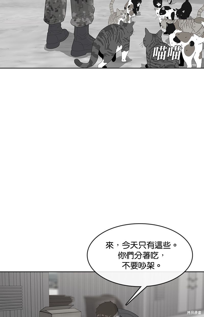 第 51 页