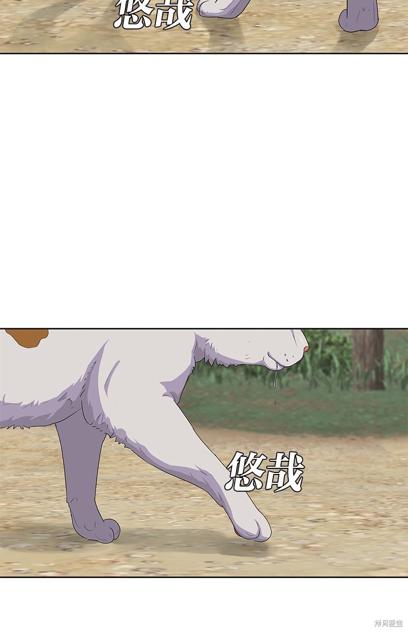 第 71 页