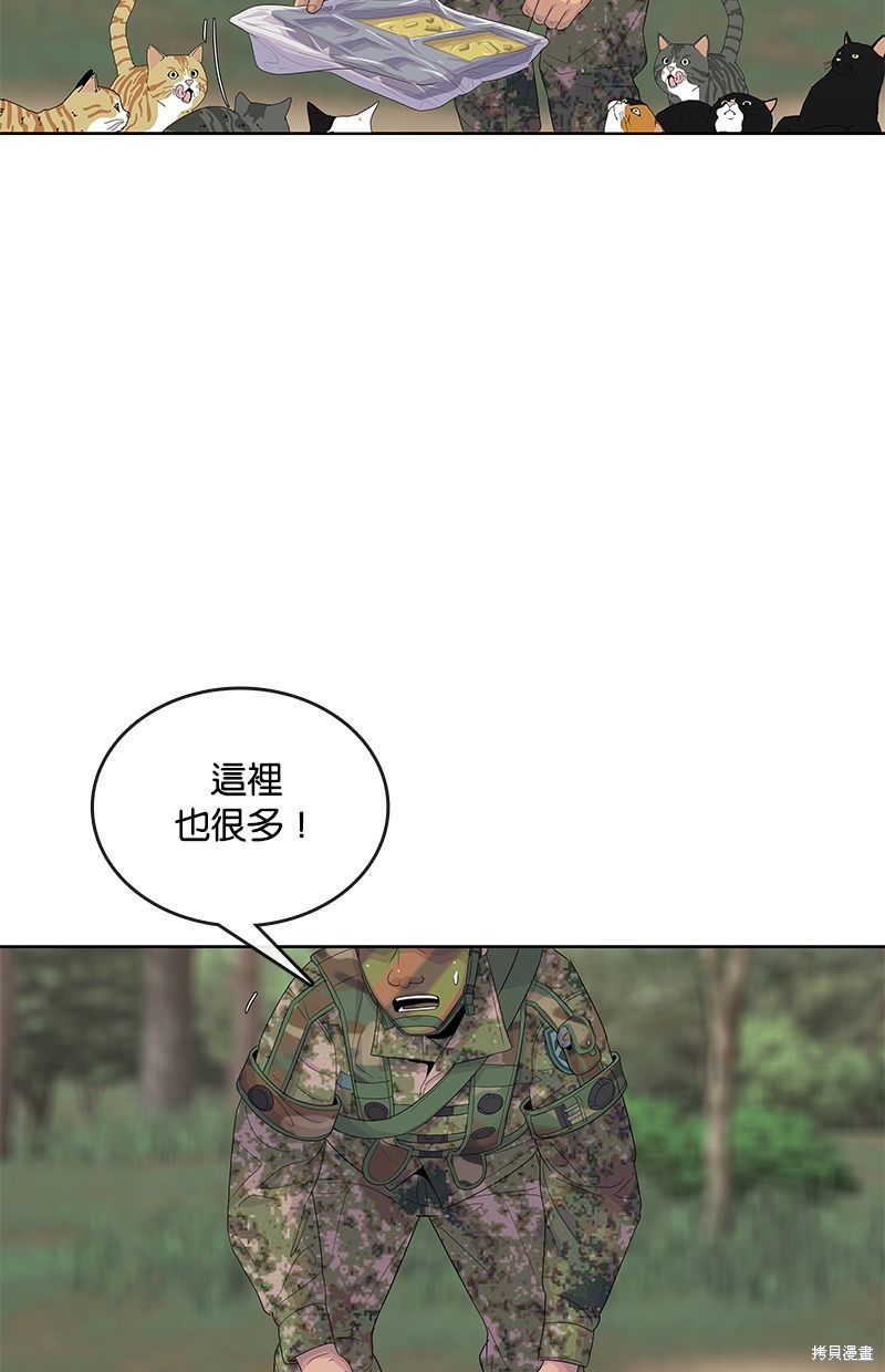 第 75 页