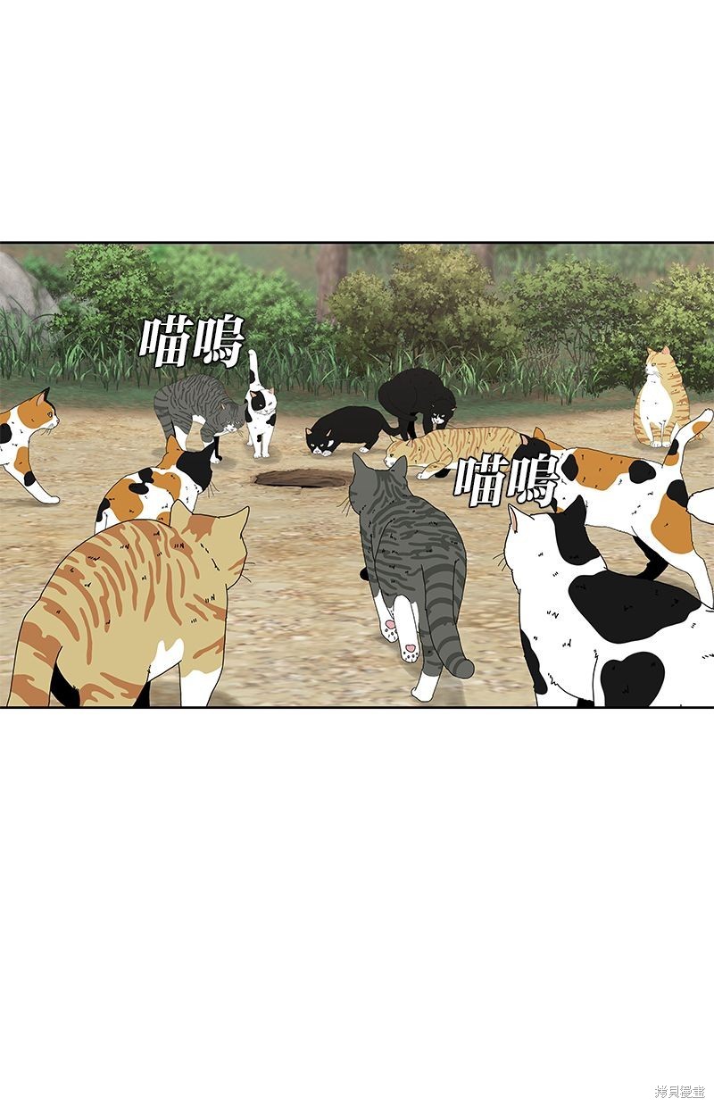 第 81 页