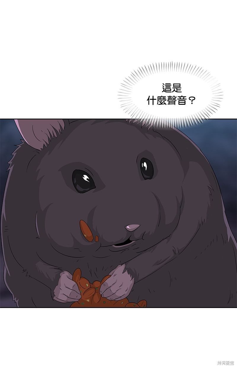 第 82 页