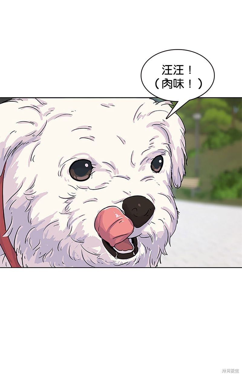 第 66 页