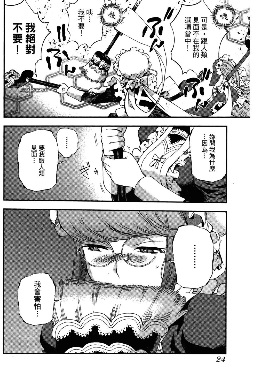 第 26 页