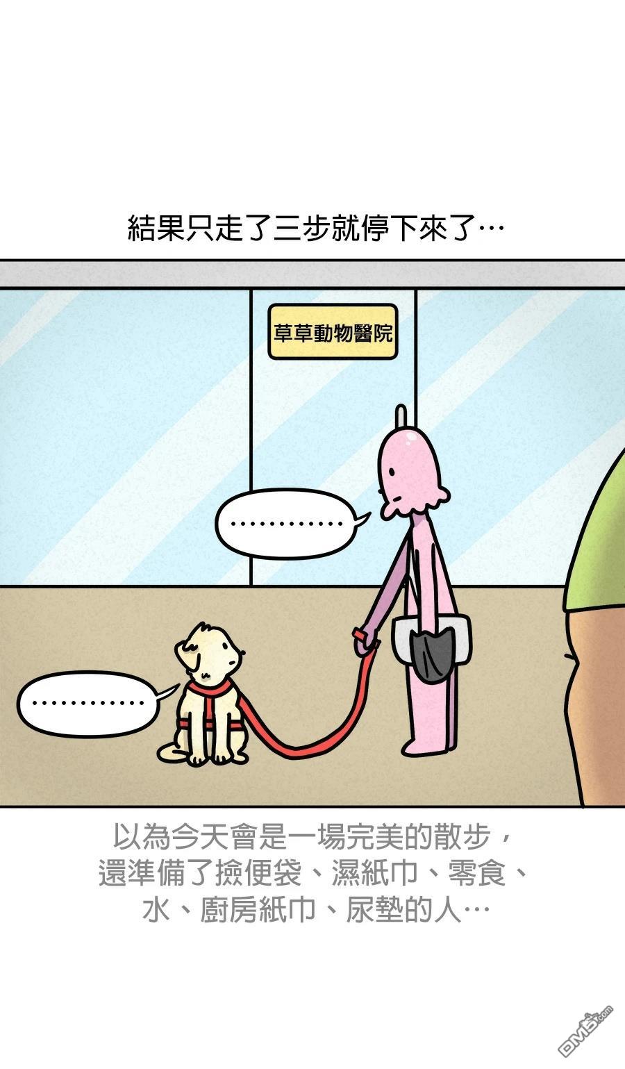 第 46 页