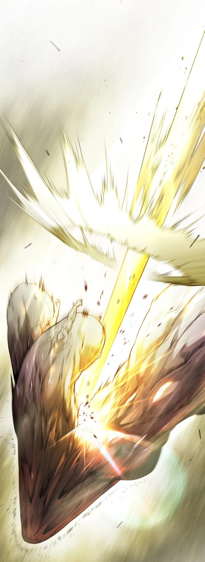第 118 页