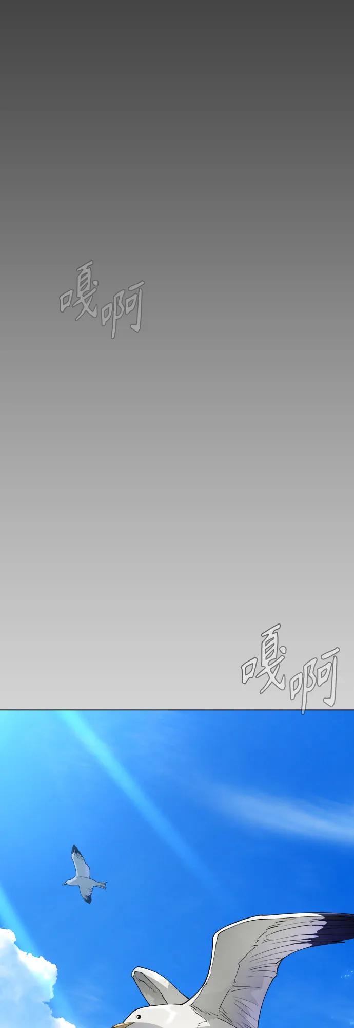 第 91 页