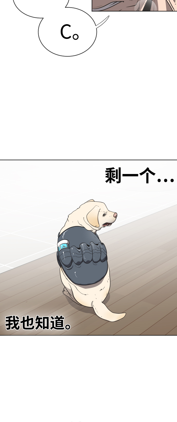 第 45 页