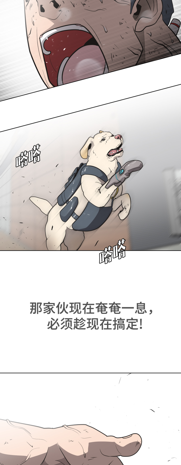 第 41 页