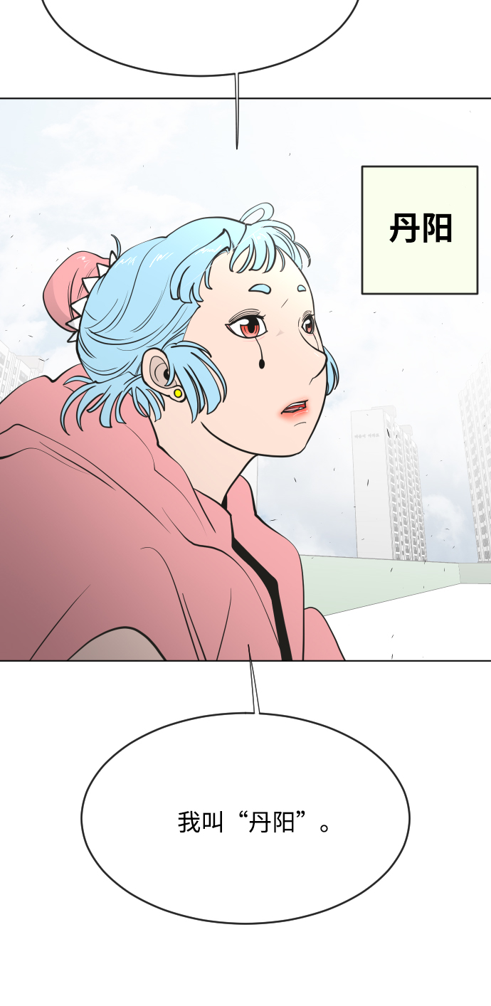 第 51 页