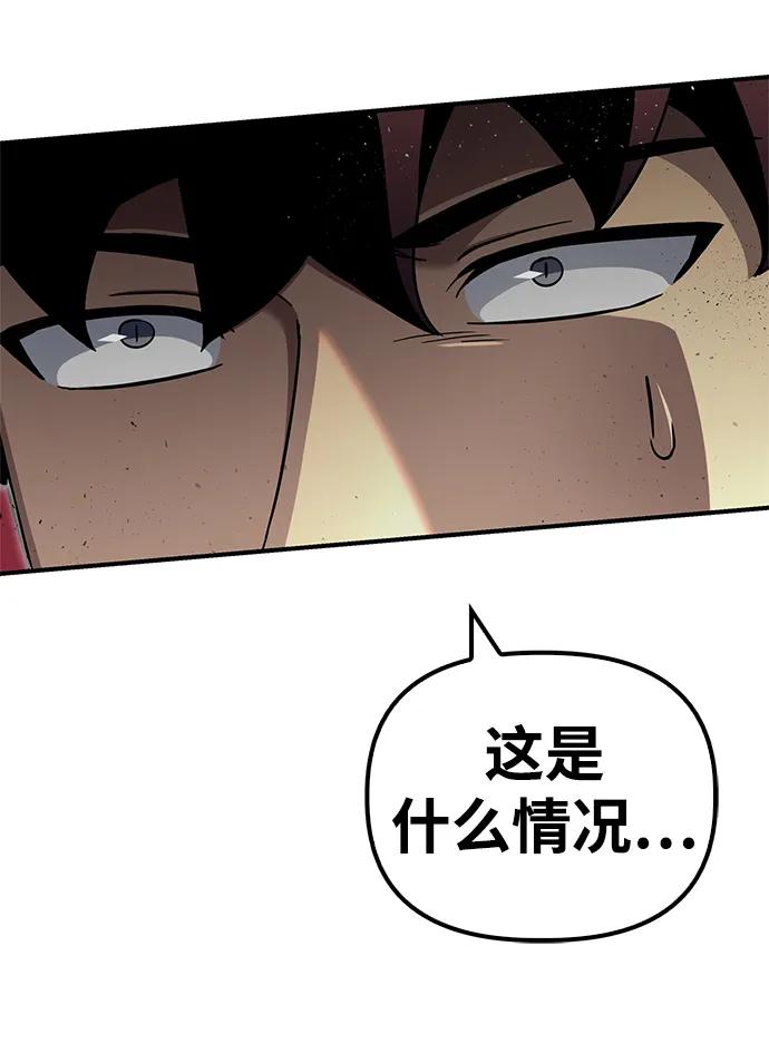 第 117 页