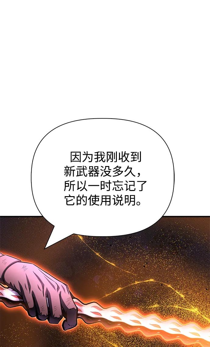 第 110 页