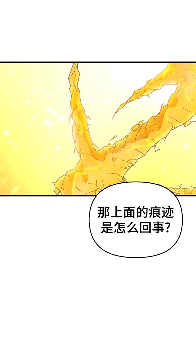 第 121 页