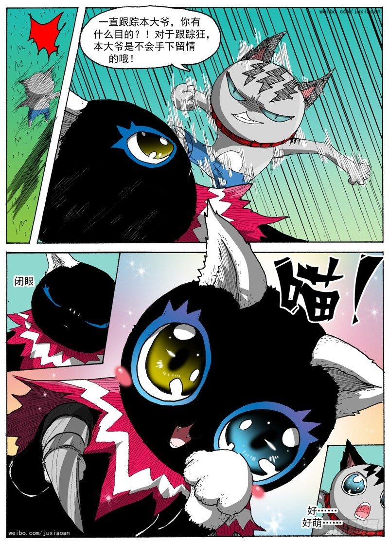 第 6 页