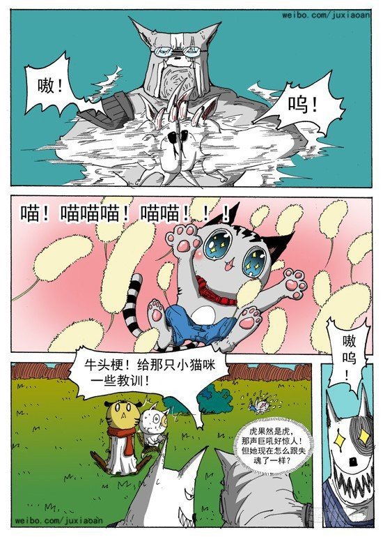 第 11 页