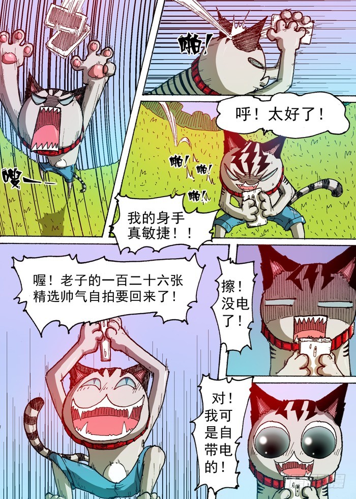 第 8 页
