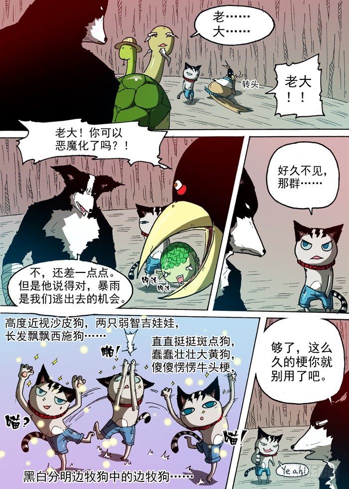 第 9 页