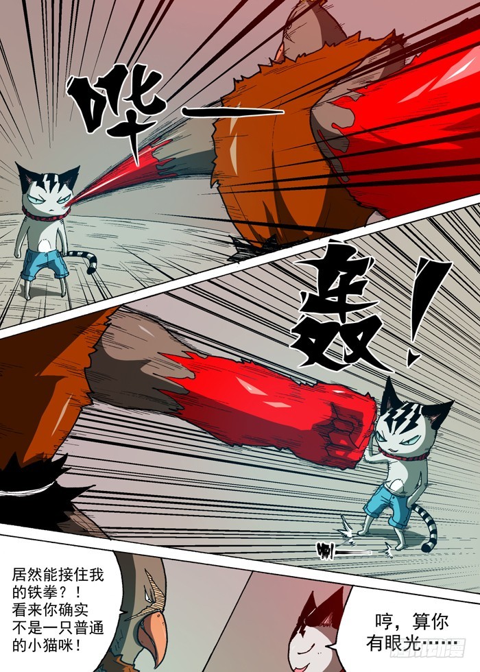 第 5 页