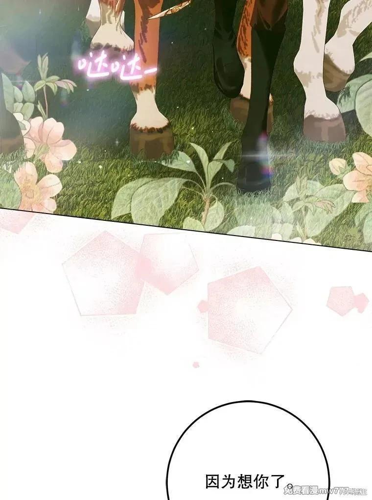 第 127 页