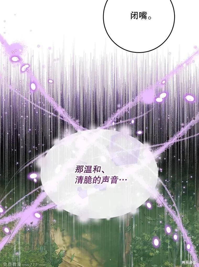 第 97 页