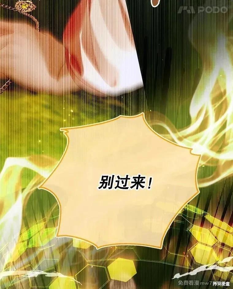 第 96 页