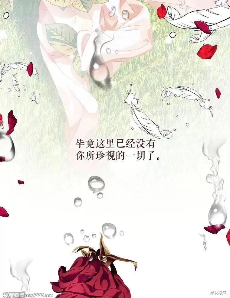 第 111 页