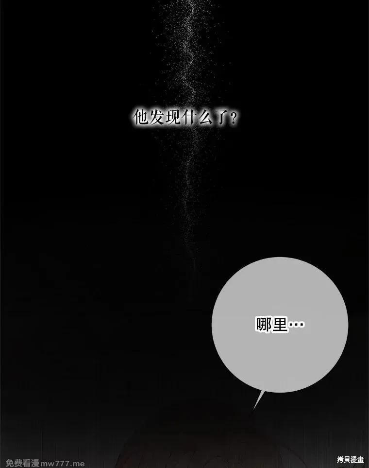 第 95 页