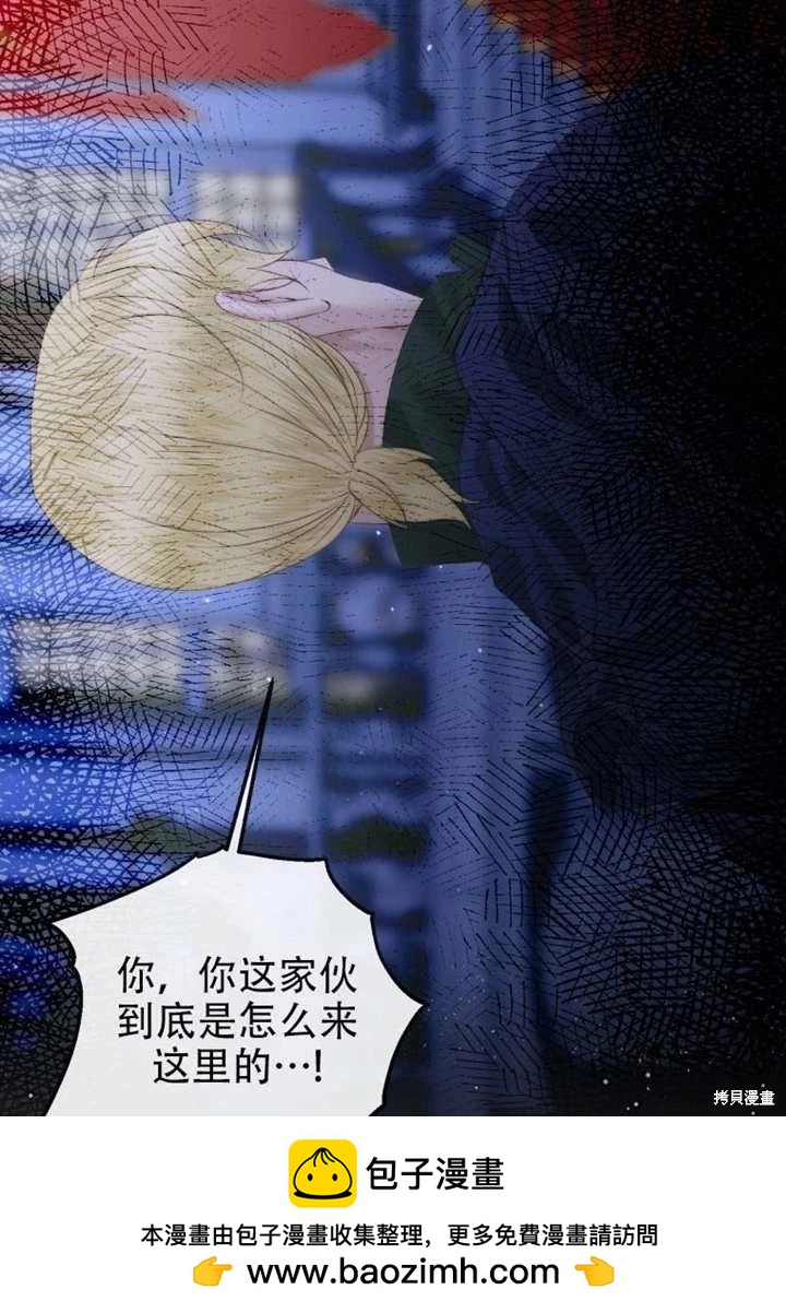 第 50 页