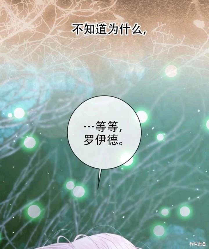 第 102 页