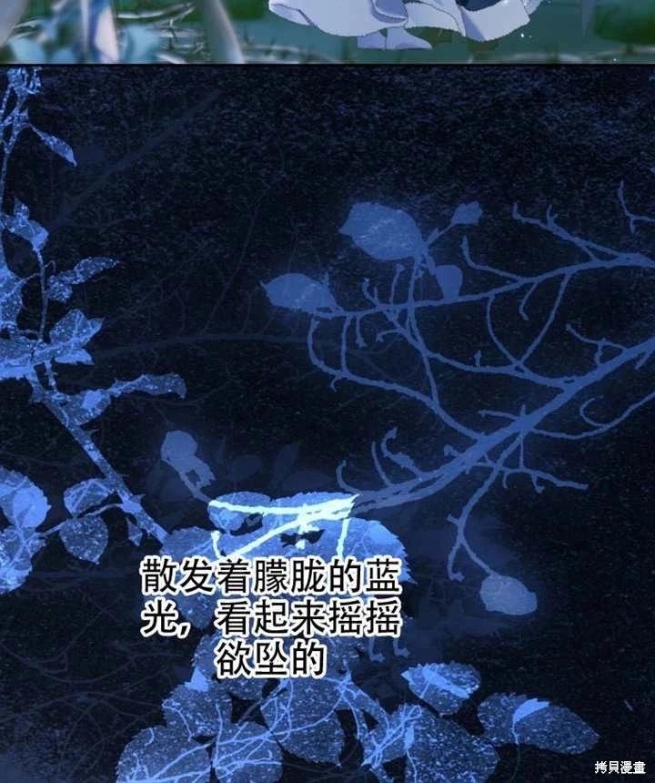 第 110 页