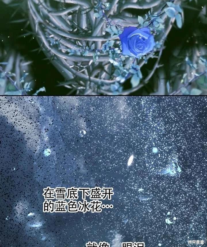 第 115 页