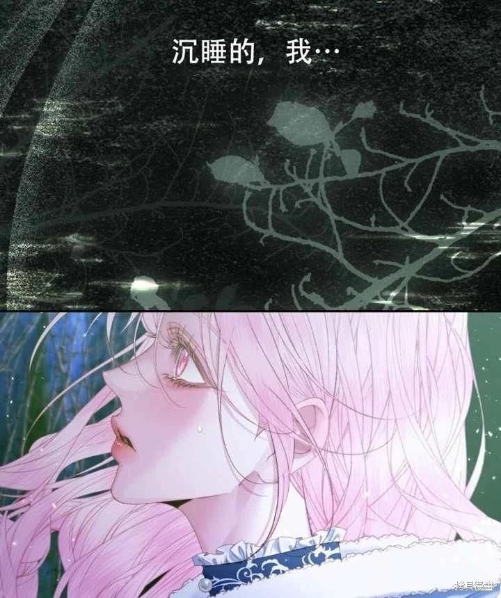 第 120 页