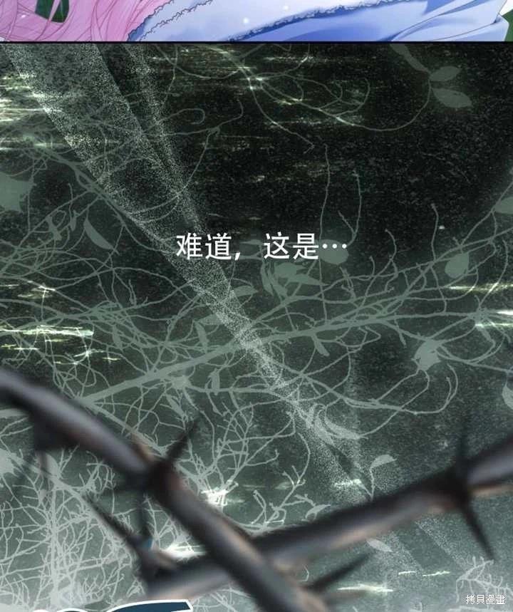 第 121 页