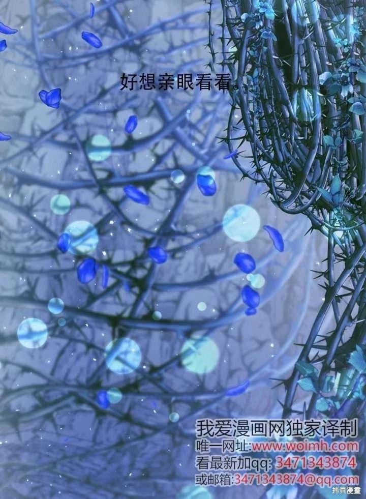 第 113 页