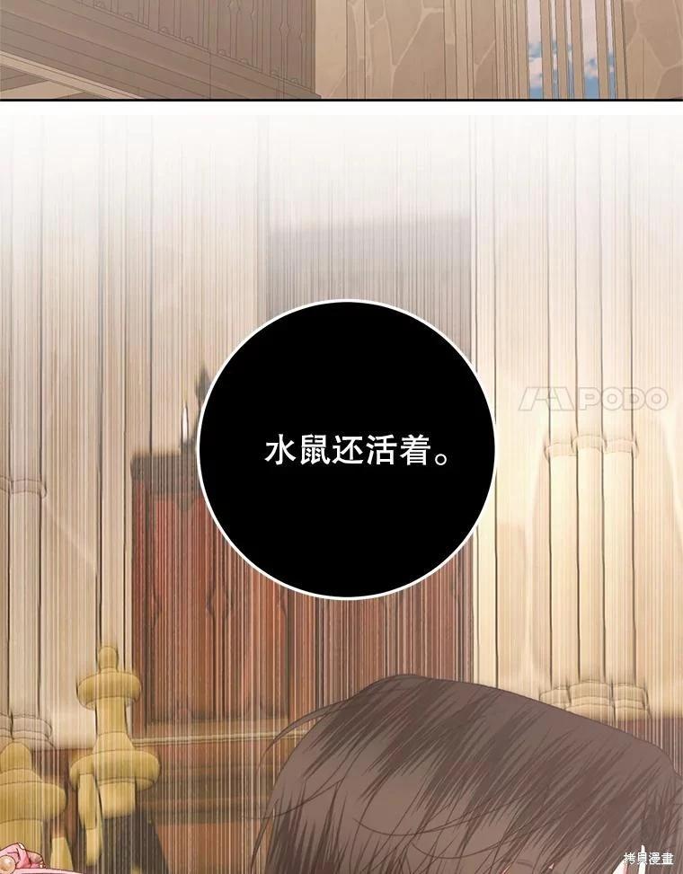 第 88 页