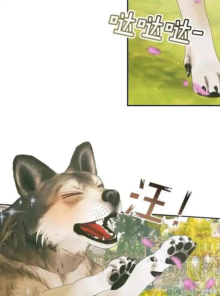 第 74 页