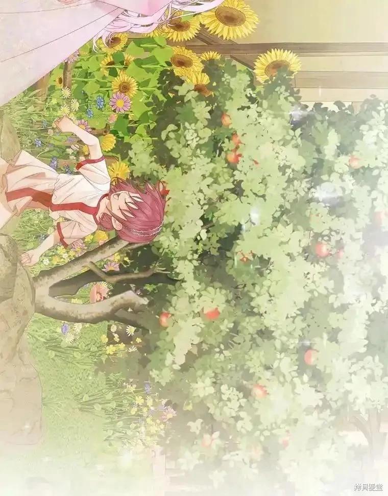 第 104 页