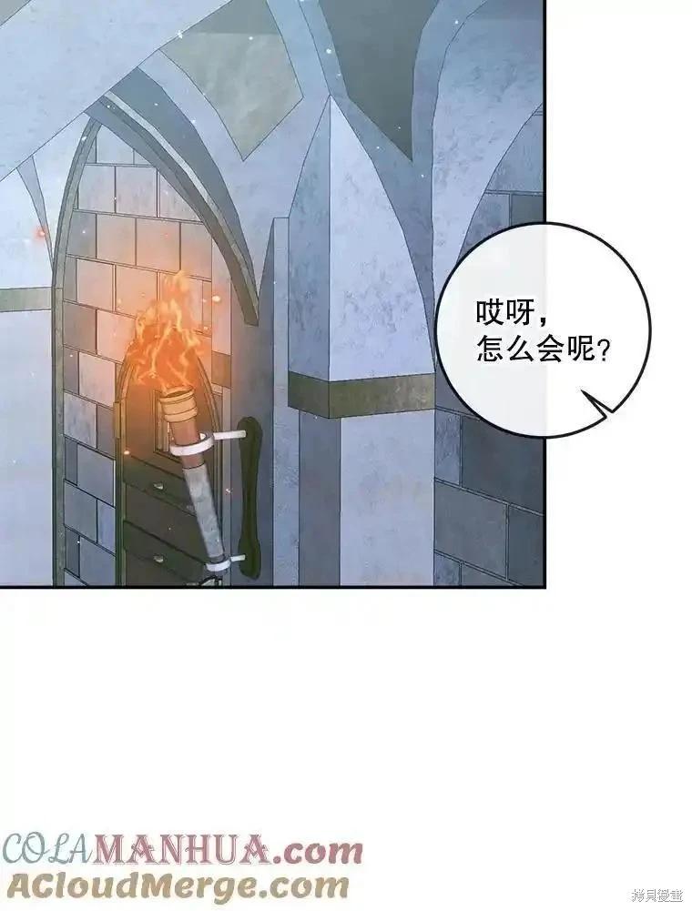 第 81 页