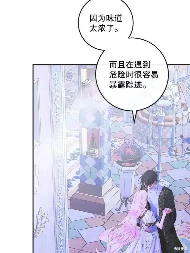 第 96 页
