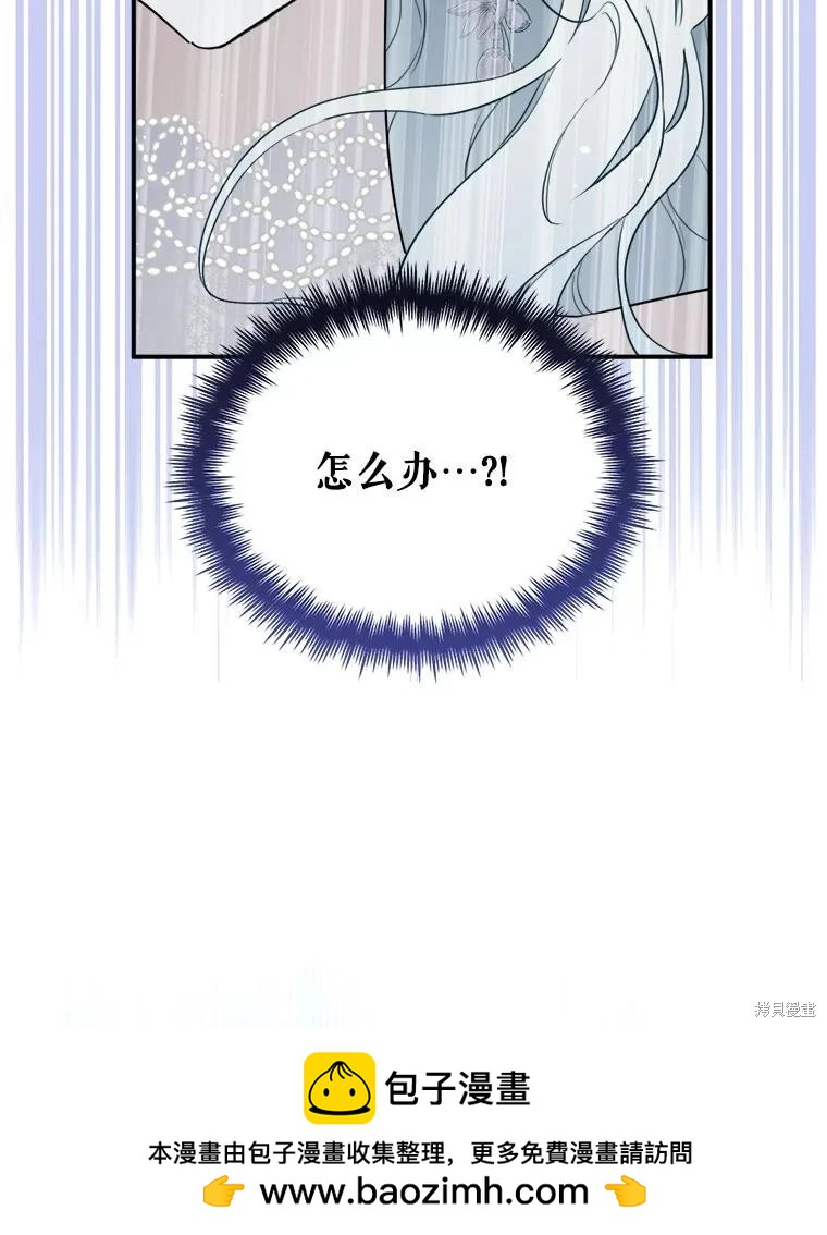 第 100 页