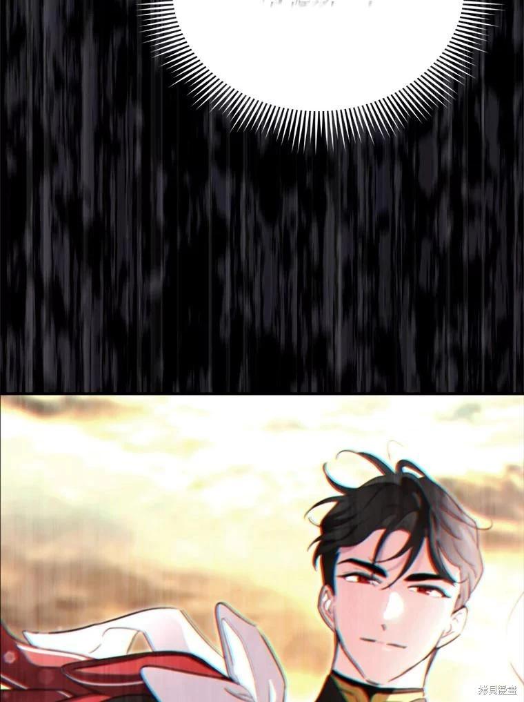 第 116 页