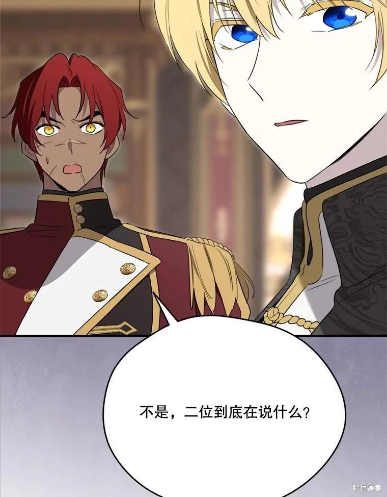 第 119 页