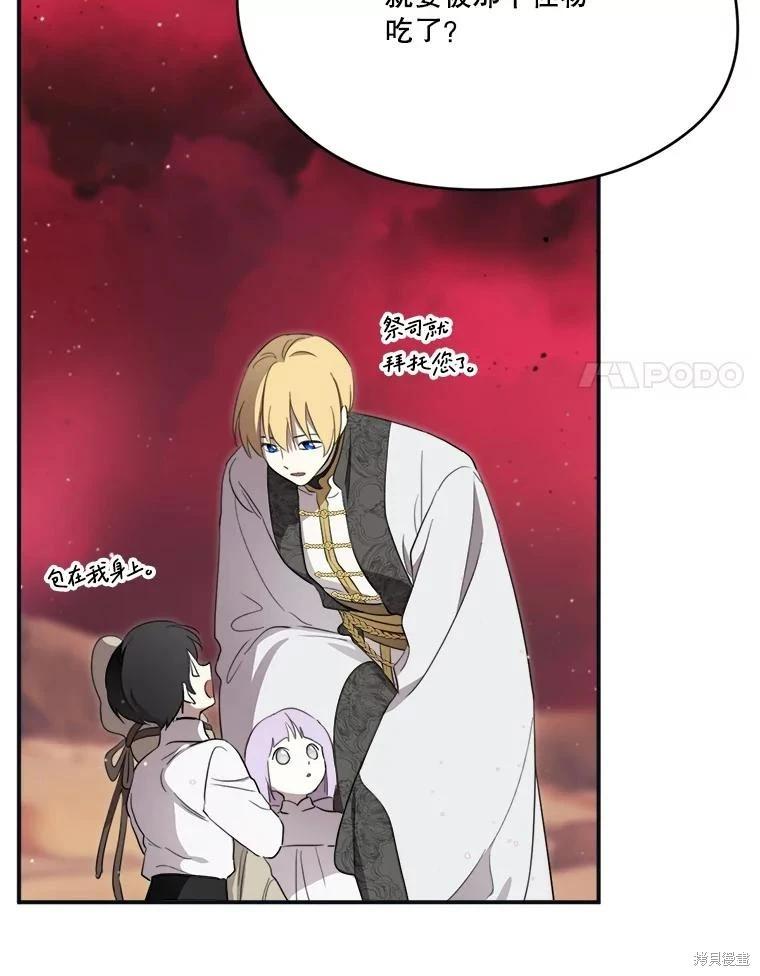第 106 页