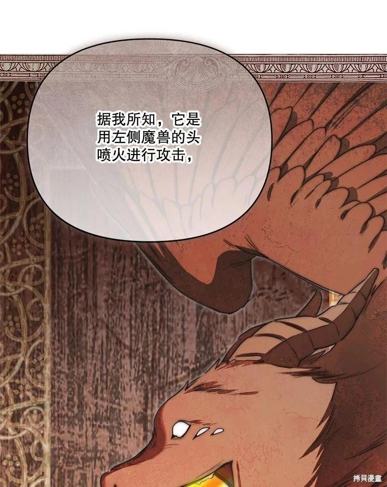 第 111 页