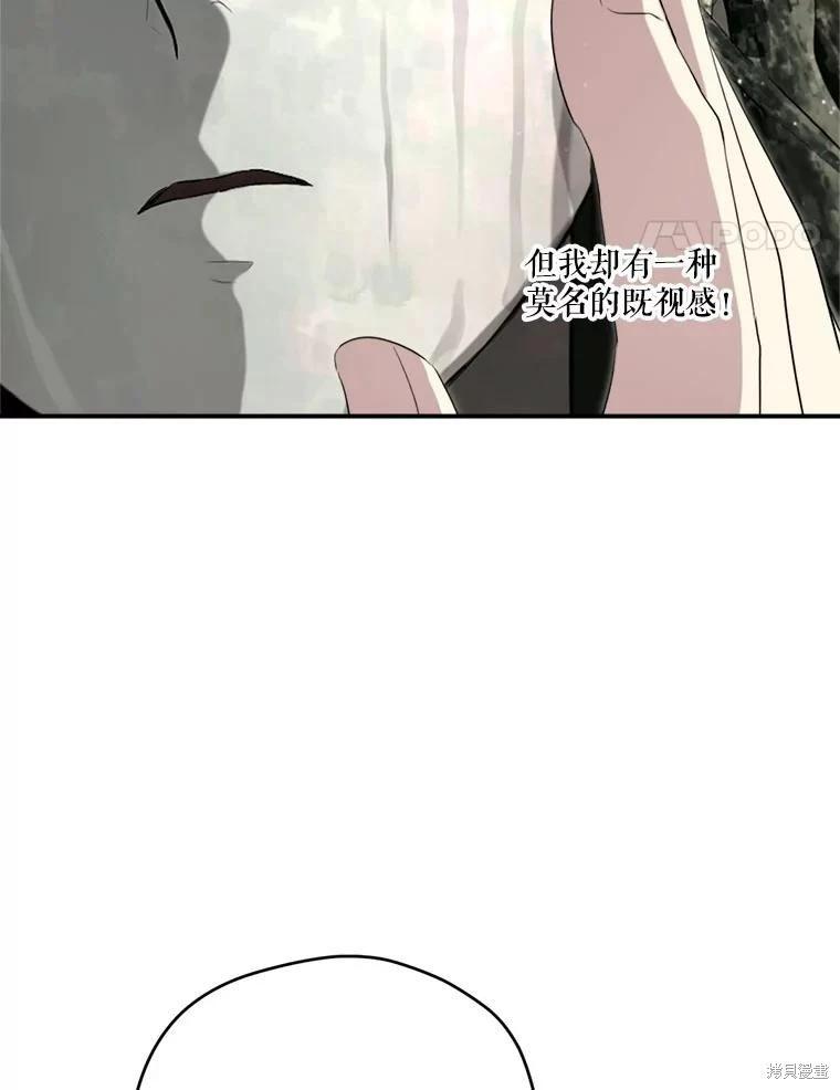 第 111 页