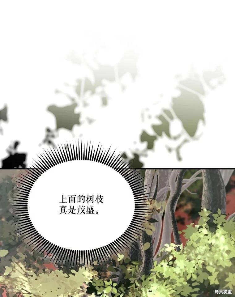 第 104 页