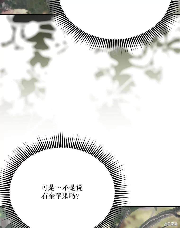 第 106 页