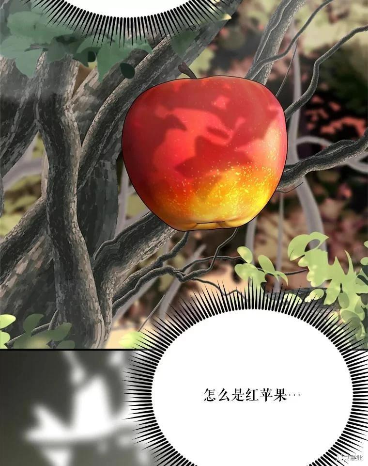 第 107 页